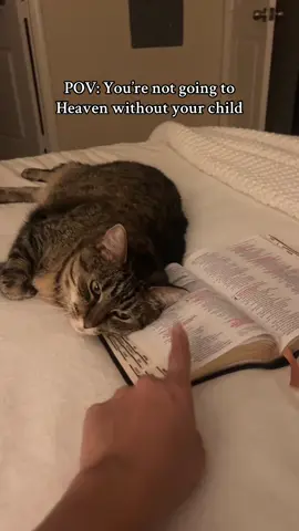 Does anyone know how to baptize a cat asking for a friend #christiantiktok #christianity #bible 