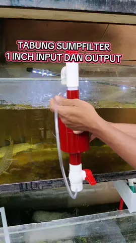 CEK BIO 🛒🛒🛒🛒🛍️🛍️🛍️🛍️ Tabung sumpfilter dg input dan output 1 inch  #sumpfilter #overflow #kolamikan #ikanhias #fishhobby 