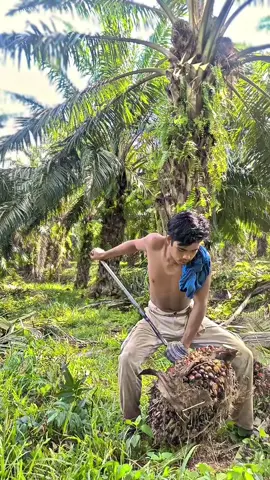 #CapCut 