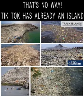 no way tiktok has an island and it's full of trash! #dank #funny #reddit #wholesome #reee 