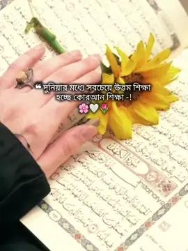 Alhamdulillah 🌸🤍🌷#foryou #foryoupage #islamic_video #ইনশাআল্লাহ_for_you_তে_যাবে। @TikTok @TikTok Bangladesh 