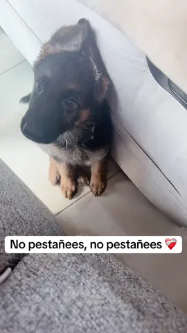 🥹♥️
