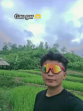 Gau 