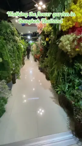 Walking the flower garden in Bangkok Thailand 
