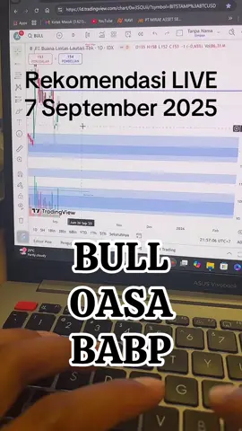 BULL OASA BABP #bull #oasa #tiktoklive #livehighlights 