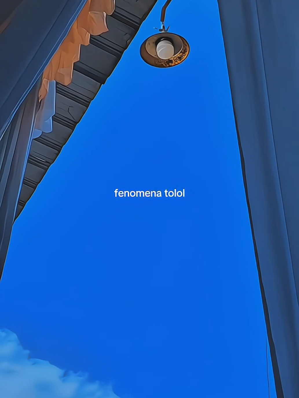 fenomena t*l*l 🤣 . . . #fyp #foryou #templatecapcut #CapCut 