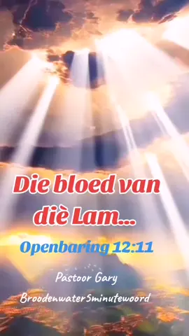 #Jesus #God #afrikaans #geloof #genade
