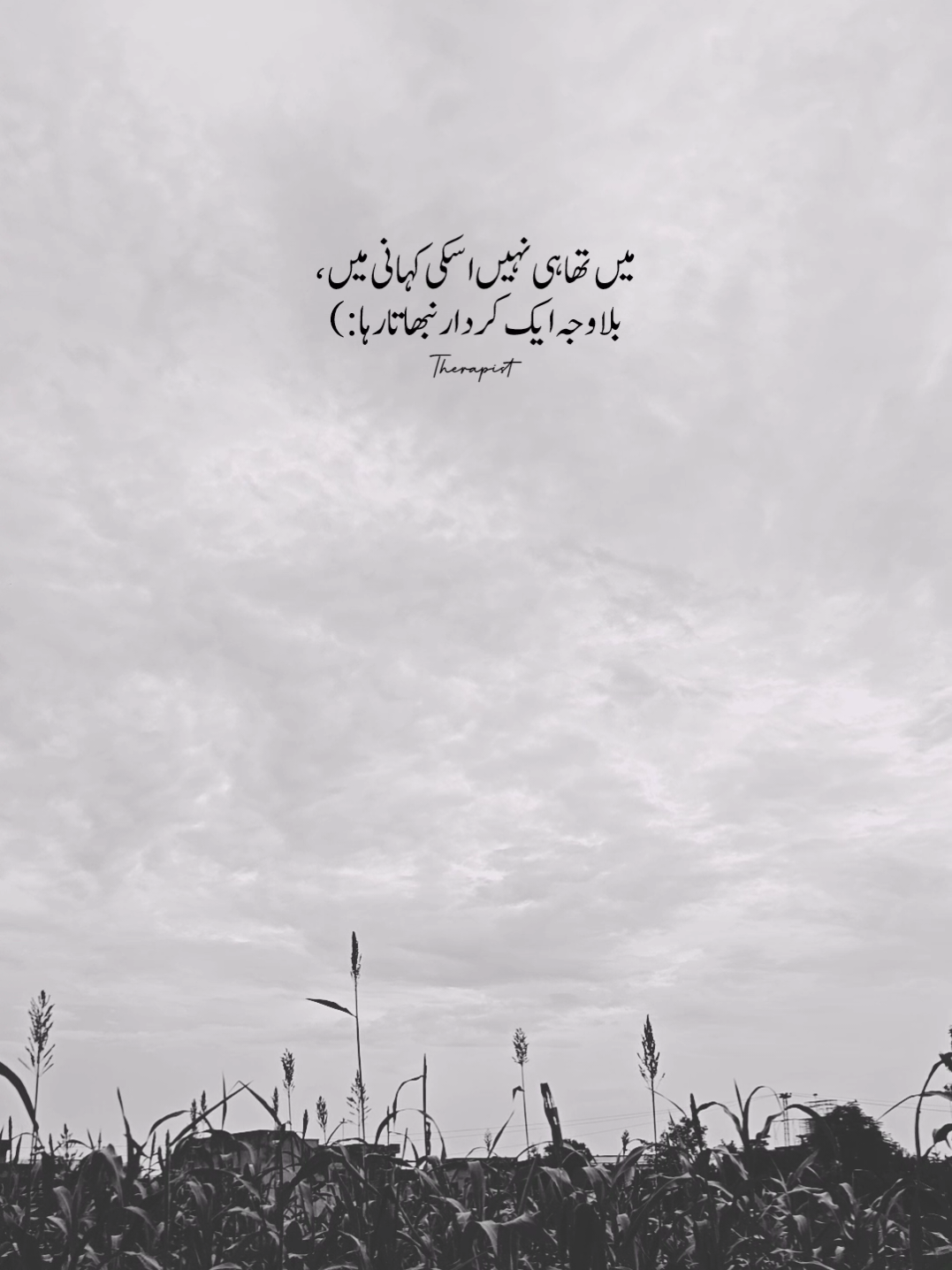 Main tha he nahi uski kahani Mein, bilawajah ek kirdar Nibhata raha:) #creatorsearchinsights #poetry #foryou #caption 