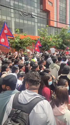 भ्रष्टाचारी सरकारको विरुद्ध युवाहरुको आवाज !!!✊ #genz #corruption #nepal #protestagainstcorruption #wakeupnepal 