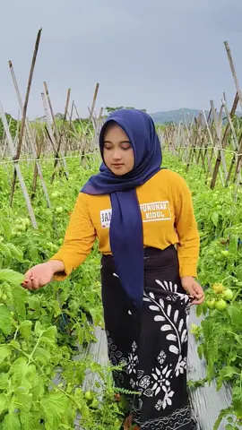 di kebun dulu besty