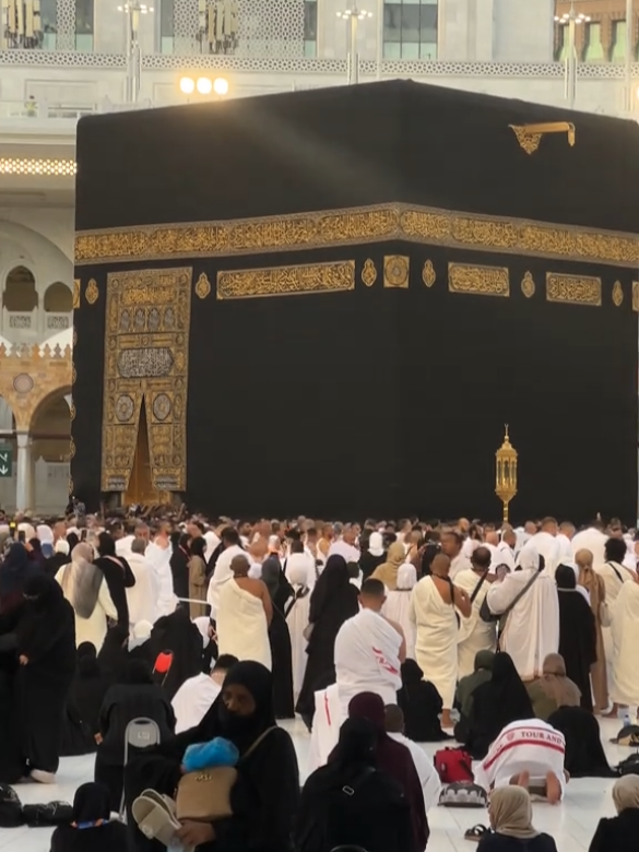 #allah #islamic_video #foryou #foryoupage #viral #fyp #grow #account 