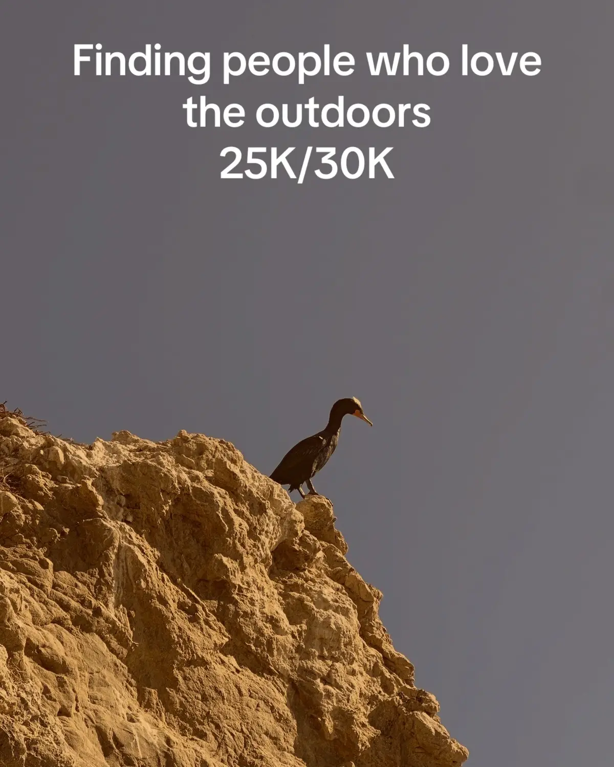 #Outdoors #fypシ゚viral #follow #shadowban #wheretonext 