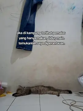 boleh tes mental hhe