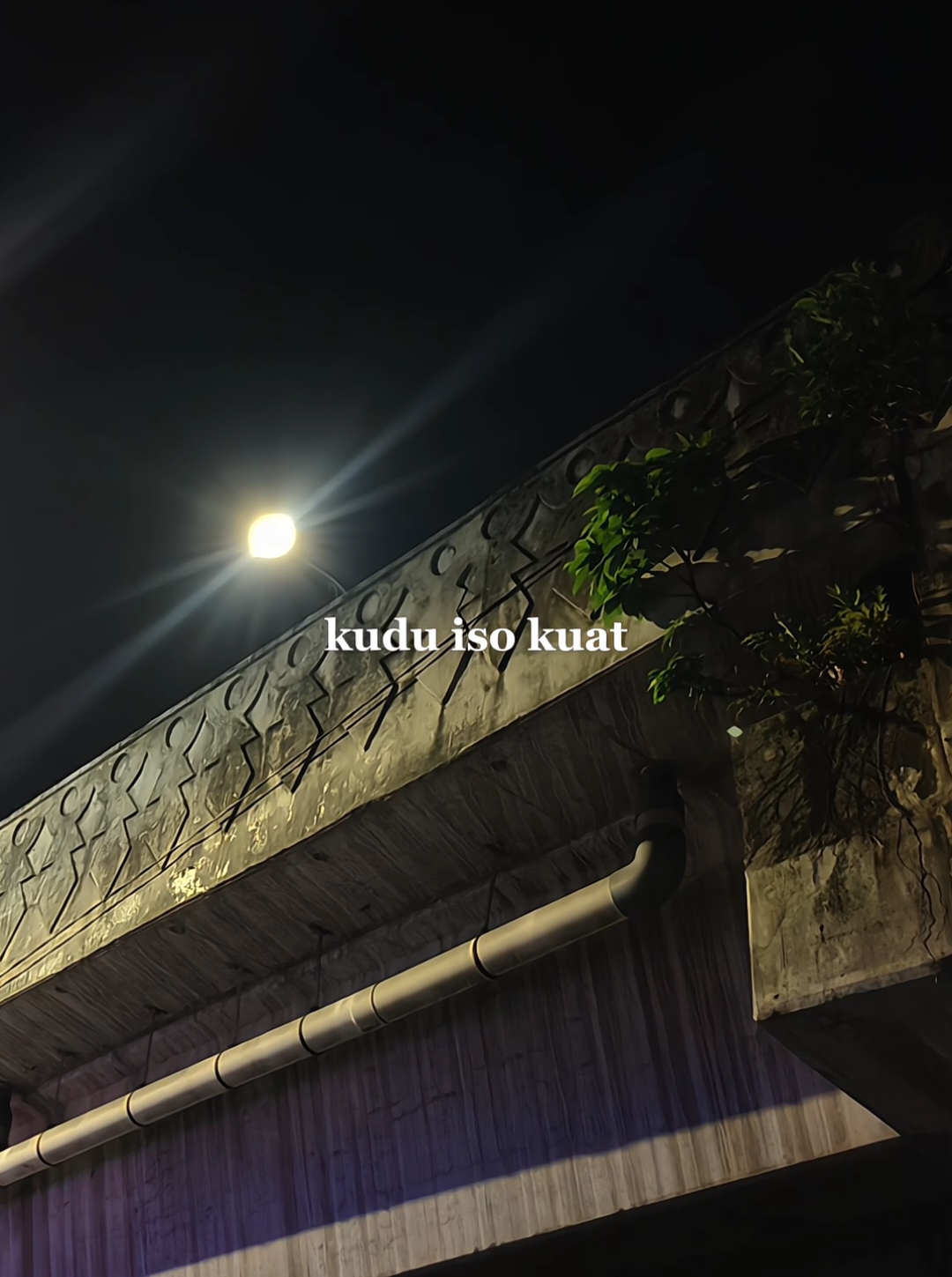 kudu iso kuat balungane #overlay #liriklagu 