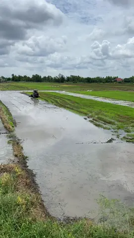 เมื่อนำ้เริ่มมา