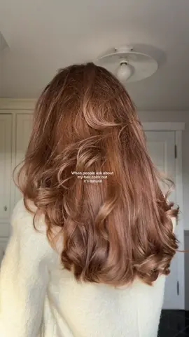 Lol🤭 #naturalhair #naturalhaircolor #brownhaircolor #chocolatebrownhair #caramelbrown 