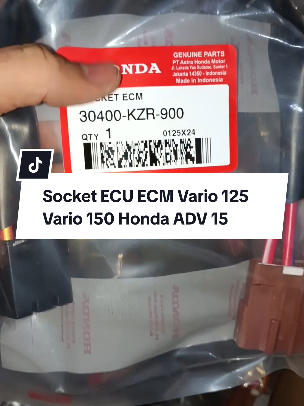 Socket ECU ECM Vario 125 Vario 150 Honda ADV 150 #socketecu #ecm #vario125 #vario150 #ADV150 