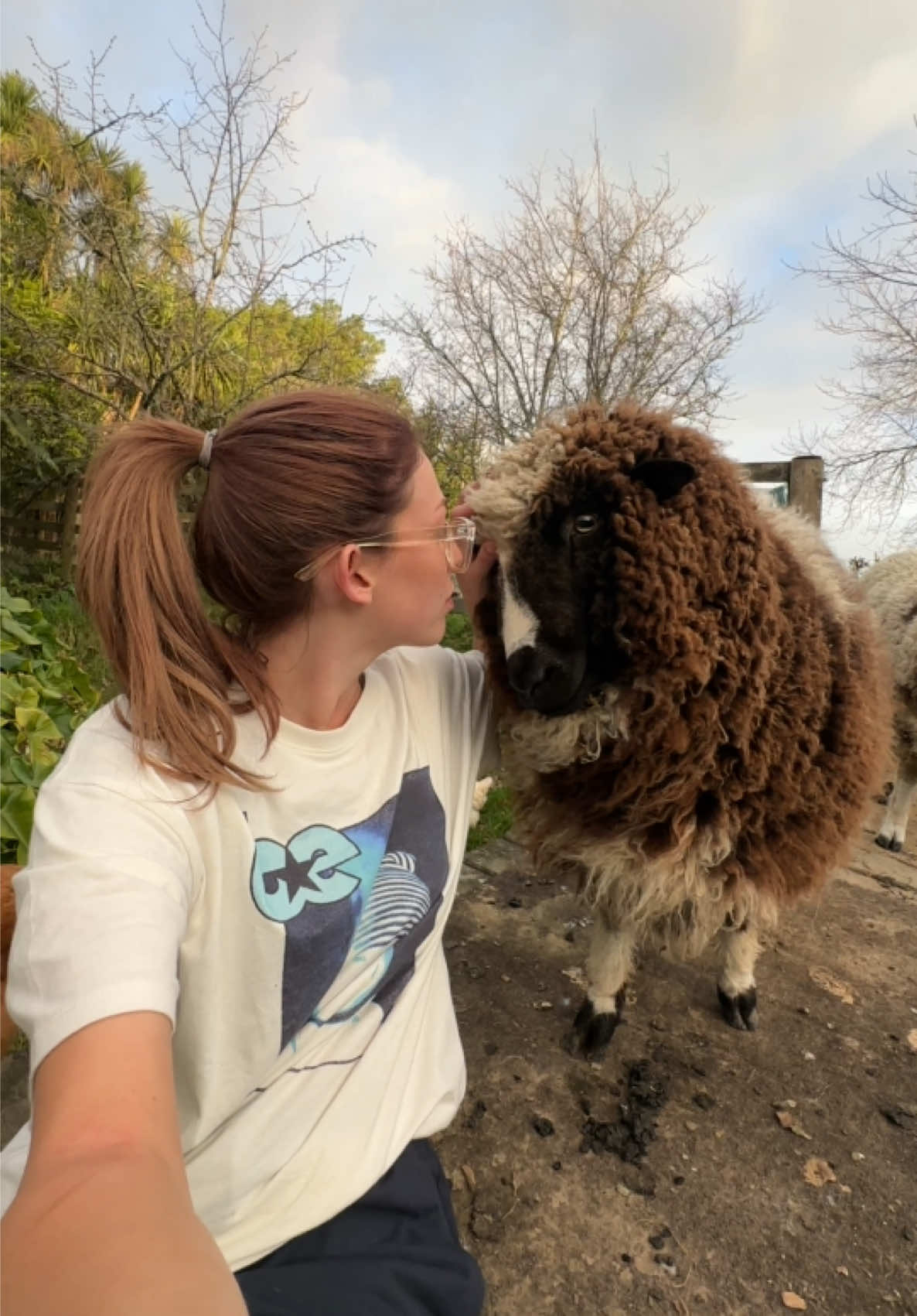 This was supposed to be an apology video 😭  (lunatic.asylum6 on insta)  #kevinthesheep #lunaticasylum #nz #farm 