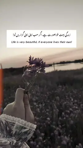 ❤️‍🩹 #aina_e_miraal #deeplines  #unfreezemyacount #fypviralシ #sad 