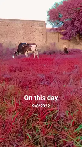#onthisday 