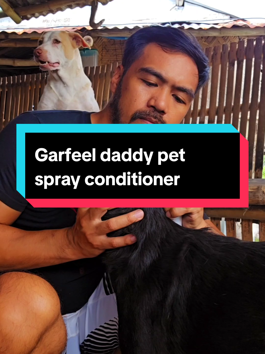 Try it baka maka help sa alaga niyo dog or cat na naglalagas ang balahibo using this Pet Spray Conditioner by Garfeel Daddy  #petsupplies #pethygiene #dogproducts #PetSprayConditioner #petwellness #petproducts 
