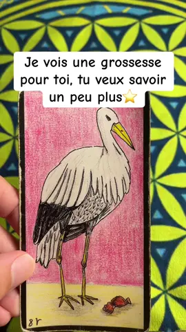 #cartomancie #voyance #voyancegratuite #voyancetiktok #guidance 