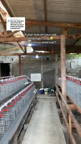Membalas @🍈 ga perlu d jelaskan  panjang lebar, nanti kaga paham😅, tp semoga anaku nanti istriku nanti bangga punya bapak dan suami yang berpendidikan 😝 #promoseruweekend #primatelurfarm #bakolndog #ayamracing #anakkandang 
