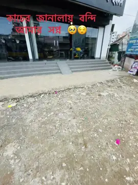 #ওই মেগনামের তারে আমি ছূয়ে দেখতে চাই #tiktok #viral #foryou #