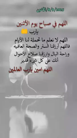اللهم امين يارب #ملكة #الأحزان #fypシ゚ #اكسبلورexplore 