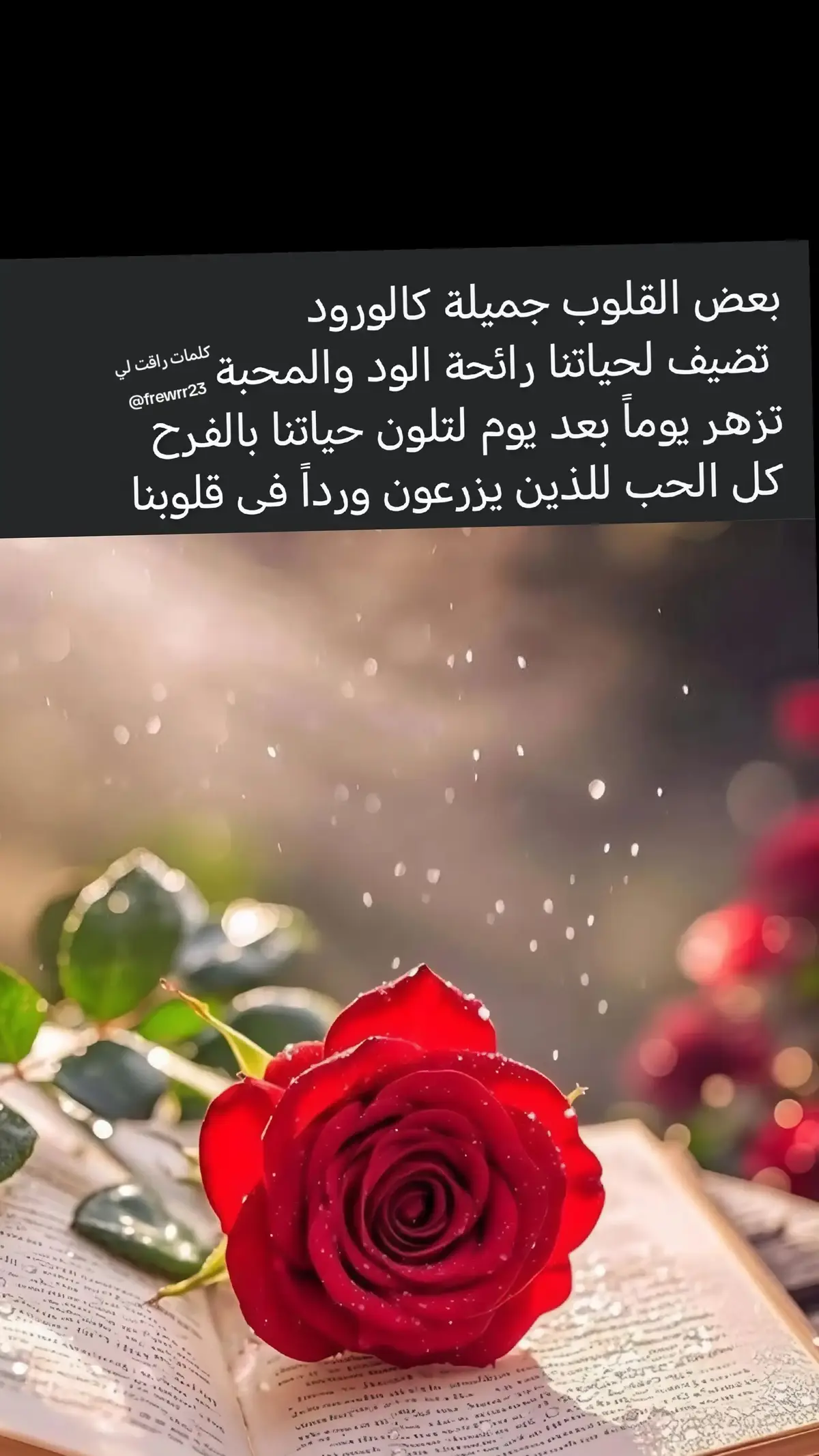 #ستوريات قلب إكسبلورر #في_غيابك_لعبت_الشوق_وغلبني #اقتباسات_عبارات_خواطر #خواطر_للعقول_الراقية 
