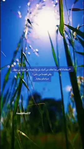 صباحكم سعادة 🌹#تصويري #في هذا اليوم #في هذا اليوم 