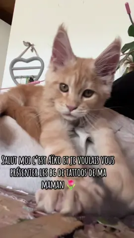 Chatbonnez vous !! Pour plus de jolies photos de tatouage !!! Et de moi évidemment le plus beaux des minous 🌷#tattoo #tatouages #fyp #tattooartist #tatouage 