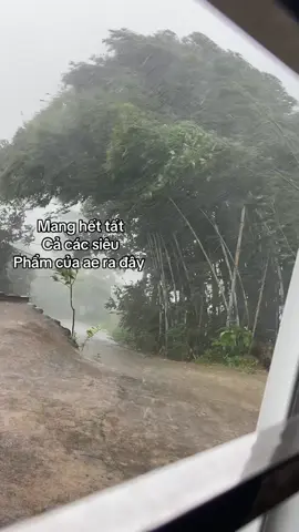 Mang hết siêu phẩm ra đi #dieéuao #diều