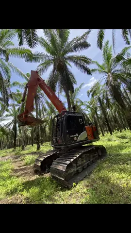 Kita mulai ciping nya  #opratorexcavator #opratormuda_punyacerita #opratormuda #opratorexcavatorindonesia🇮🇩 #cipingkelapasawit 