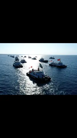 Pray for Global Sumud Flotilla  #globalsumud #globalsumudflotilla #palestine #palestine🇵🇸 #gaza 