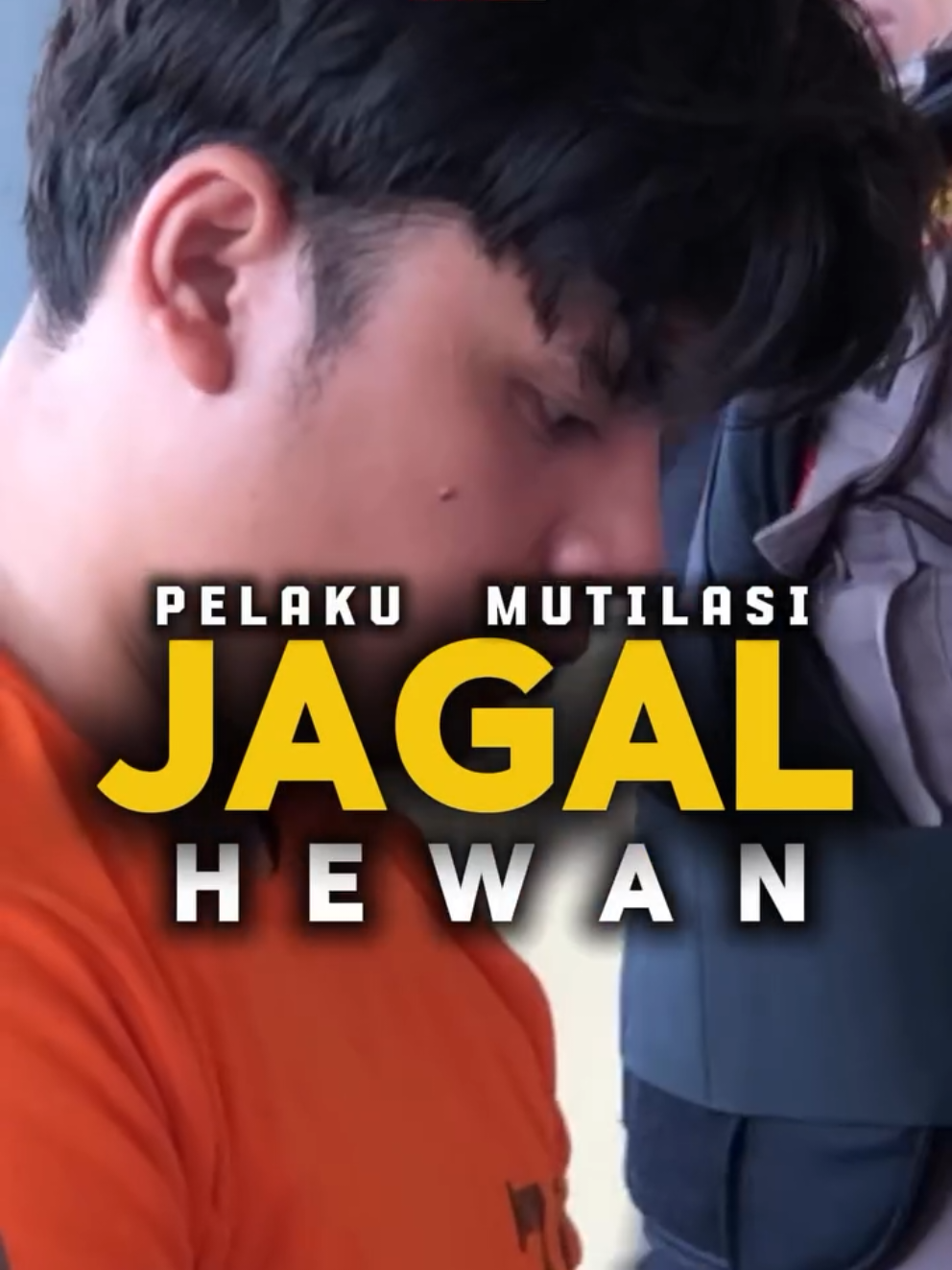 Fakta Baru, Tersangka Mutil4s1 Ternyata Pernah Bekerja Sebagai Tukang Jagal Hewan #cangar #pacet #surabaya #mojokerto #kabarterdepan 