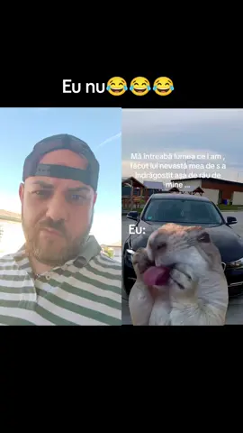 #duetto con @VladM #CapCut #pamflet🤣🤣 #nebunieeeee😆😂🤣😆 #👅😜 