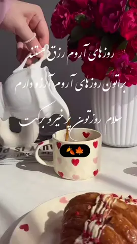 #خدایا_شکرت🤲📿🕋❤ 