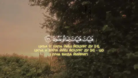 #quranrecitation #quran_alkarim #mahdiashshishani #shishan #noxchi 