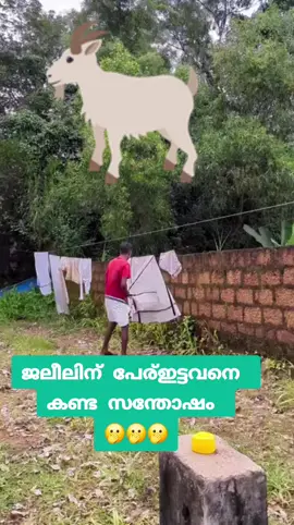 #ജലീലിന്പേര്ഇട്ടവനെകണ്ടസന്തോഷം🐐🐐🐐🐐🐐 