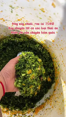 Chuối cây, rau củ quả, bí đỏ, khoai lang gì cũng xay nhuyễn ạ #xuhuong #mayxaydanang #mayxayraucu #channuoiga #mayxay 