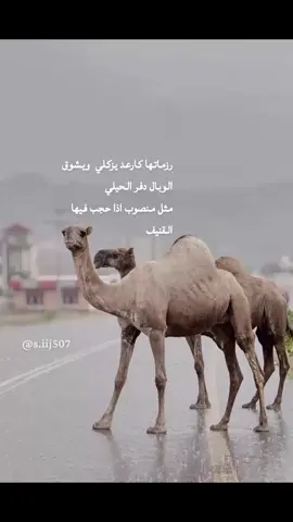 #كسبلور_explor #كسبلور_explor #شعب_الصيني_ماله_حل😂😂 #تهامه 