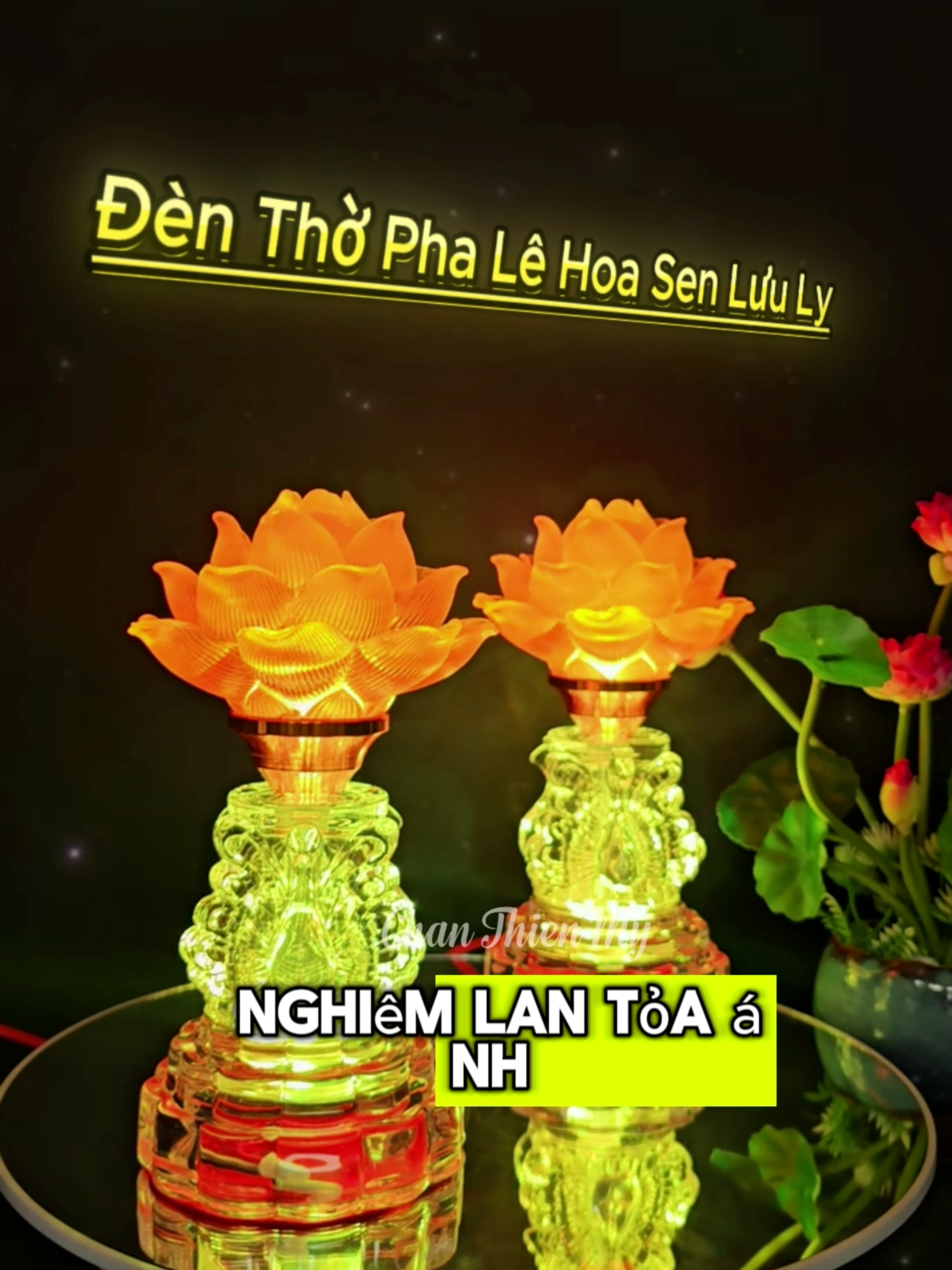 Đèn Pha Lê Hoa Sen Lưu Ly ,Chân Thiện Mỹ, #dentho #denbantho #denhoasen #thocunggiatien #chanthienmy #xuhuong