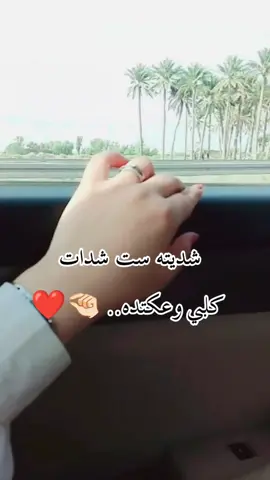 #مالك_غرض_بالشيب_والكاعد_يطيح #CapCut #لايك__explore___ #عاشقه_تصوير #فكرتي_وتصميمي 