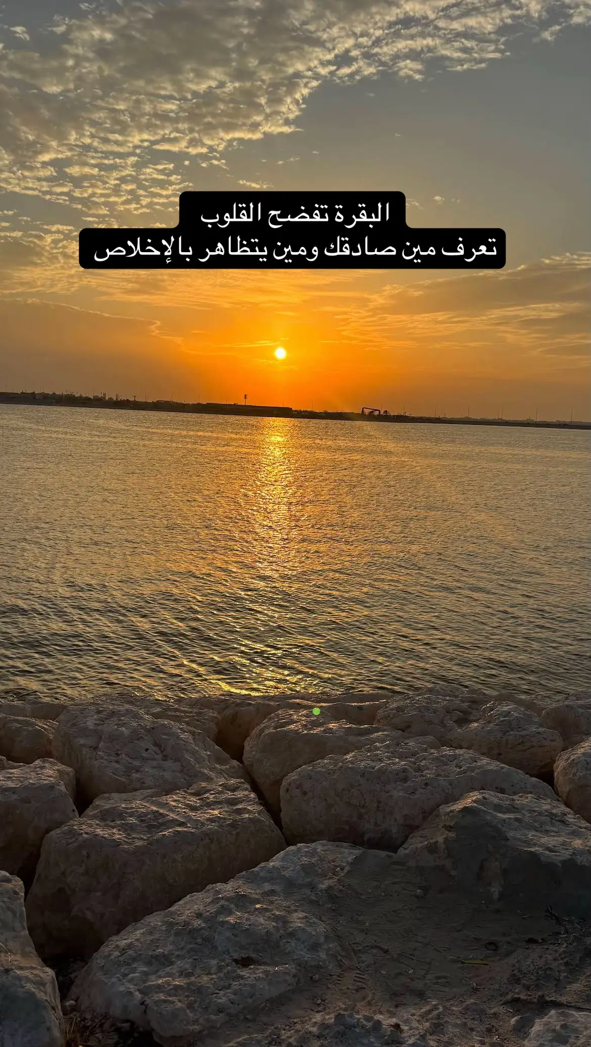 #تجربتي_مع_سورة_البقرة #فضل_سورة_البقرة_وآل_عمران #حياتي_مع_سورة_البقرة #فضل_سورة_البقره #سورة_البقره 