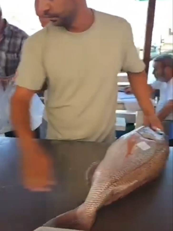 BALIK MEZATINDA 2 BALIK 17.000 TL SATIŞA ÇIKTI?#balıkavları #fish #balıkmezatı #denizürünleri #fishing 