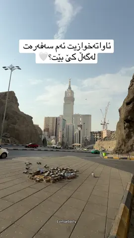 ئاواتەخوازیت ئەم سەفەرەت لەگەڵ کێ بێت؟🤍 #السعودية #المدینة_المنورة #السعوديات #المدینة #النبي  ﷺ 