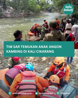 Anak laki-laki 14 tahun dikabarkan terbawa arus hendak mandikan kambing di Kali Cikarang, Desa Karang Baru, Cikarang Utara, Kabupaten Bekasi, ditemukan dalam kondisi meninggal dunia. Koordinator Unit Siaga SAR Bekasi, Erdi Jatmiko, mengatakan jmkorban ditemukan pada Selasa, 8 September 2025, pukul 13.30 WIB. 