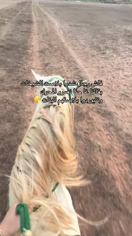 #video #tiktok #explore #الخيل #تبوريدة_المغربية #المغرب🇲🇦تونس🇹🇳الجزائر🇩🇿 #marocaine🇲🇦 #خيل_وخياله🐎  #nacimhaddad  @Dr. Nacim Haddad د. نسيم حداد 