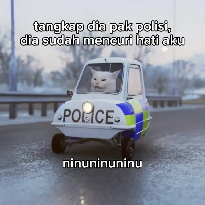 tangkap dia pak polisi😣 #catlover  #fyp  #foryou  #4u  #xzybca 